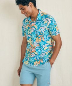 Chipvine.shop052f0f4996 3