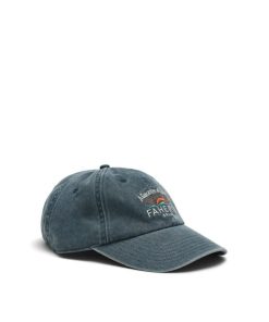 Chipvine.shopc6829fd2eb 2