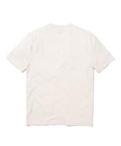 Chipvine.shopdcb537ea56 2