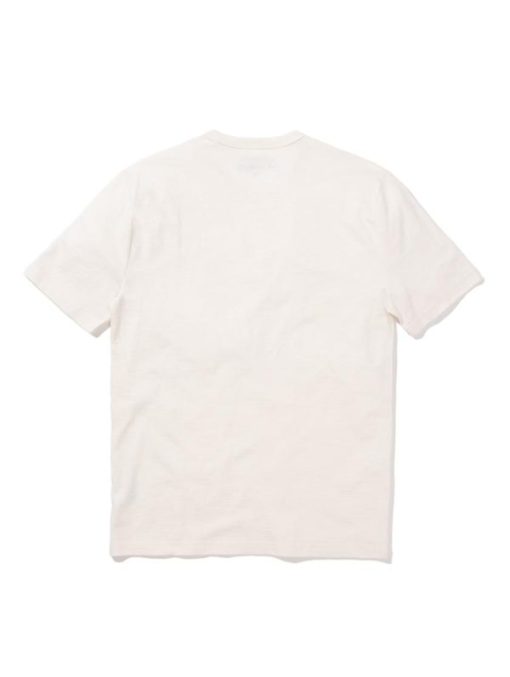 Chipvine.shopdcb537ea56 2