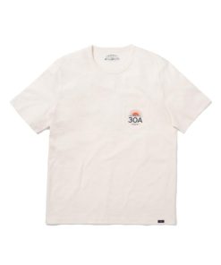 Chipvine.shopdd2ca244d7 1